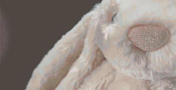 Jellycat Luxe Bashful Bunnies