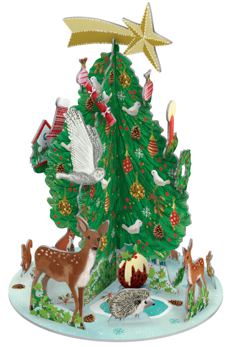 Christmas Advent Calendars & Cards