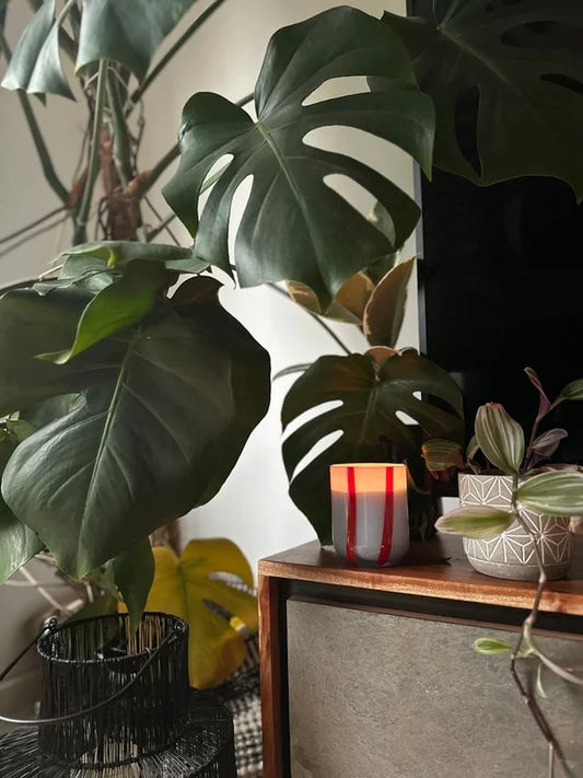 Maegen Atina Stripe Candle Tomato & Mint
