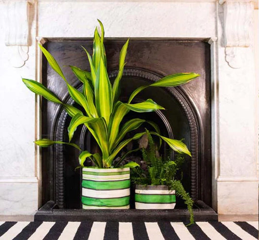 Eco Woven Plant Pot Cover/Storage Basket in Grass Green, Indigo & Pearl (Medium 19cm)