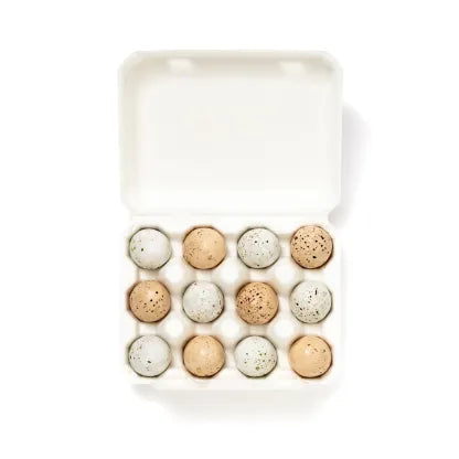 12 Rainbow Lovebird Eggs (Chocolate Praline)