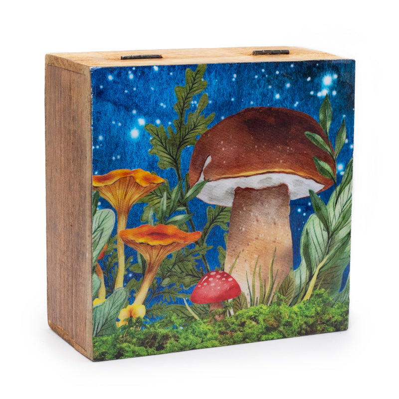 Large Wooden Box - Mushroom Teal