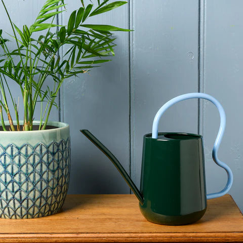 Collector Scalloped Indoor Watering Can (Dark Green)