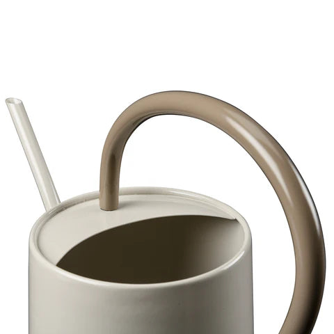 Collector Scalloped Indoor Watering Can Mushroom