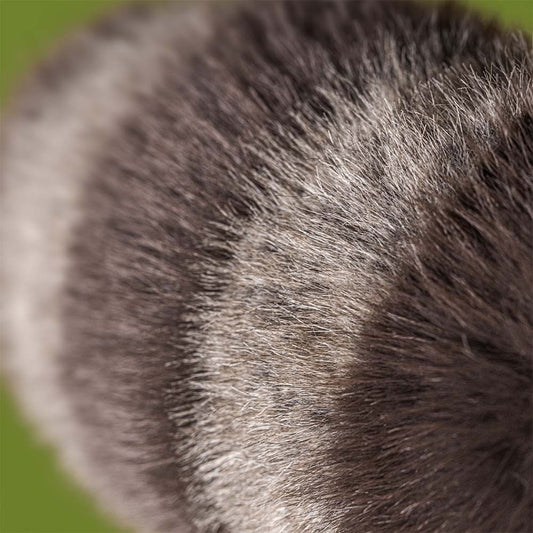 Jellycat Trixiwoo Raccoon (0+)