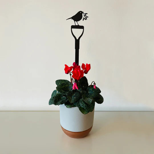 Pot Stem - Robin On Fork With Mistletoe
