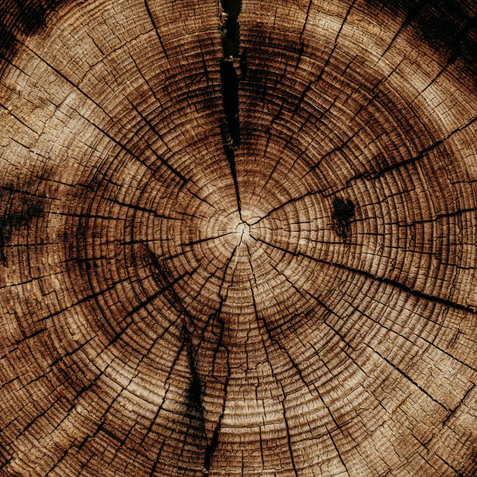 St Eval Kraft Mini Candles Sandalwood | Scented Candles