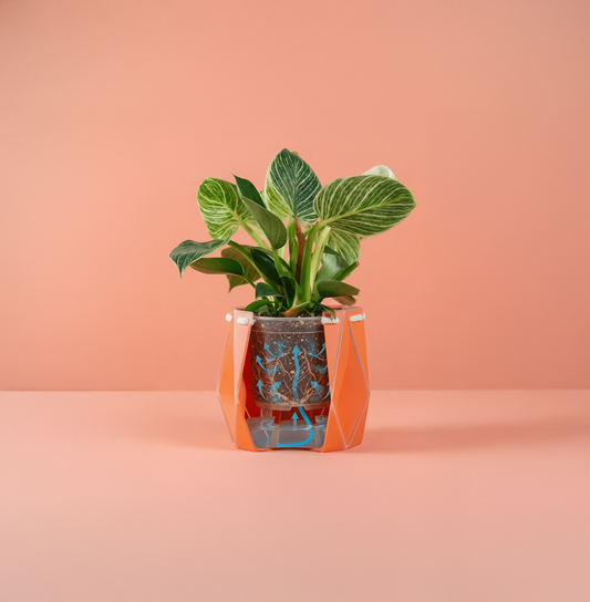 Potr Pot 18cm Ivory White (self-Watering & Flat Packed)