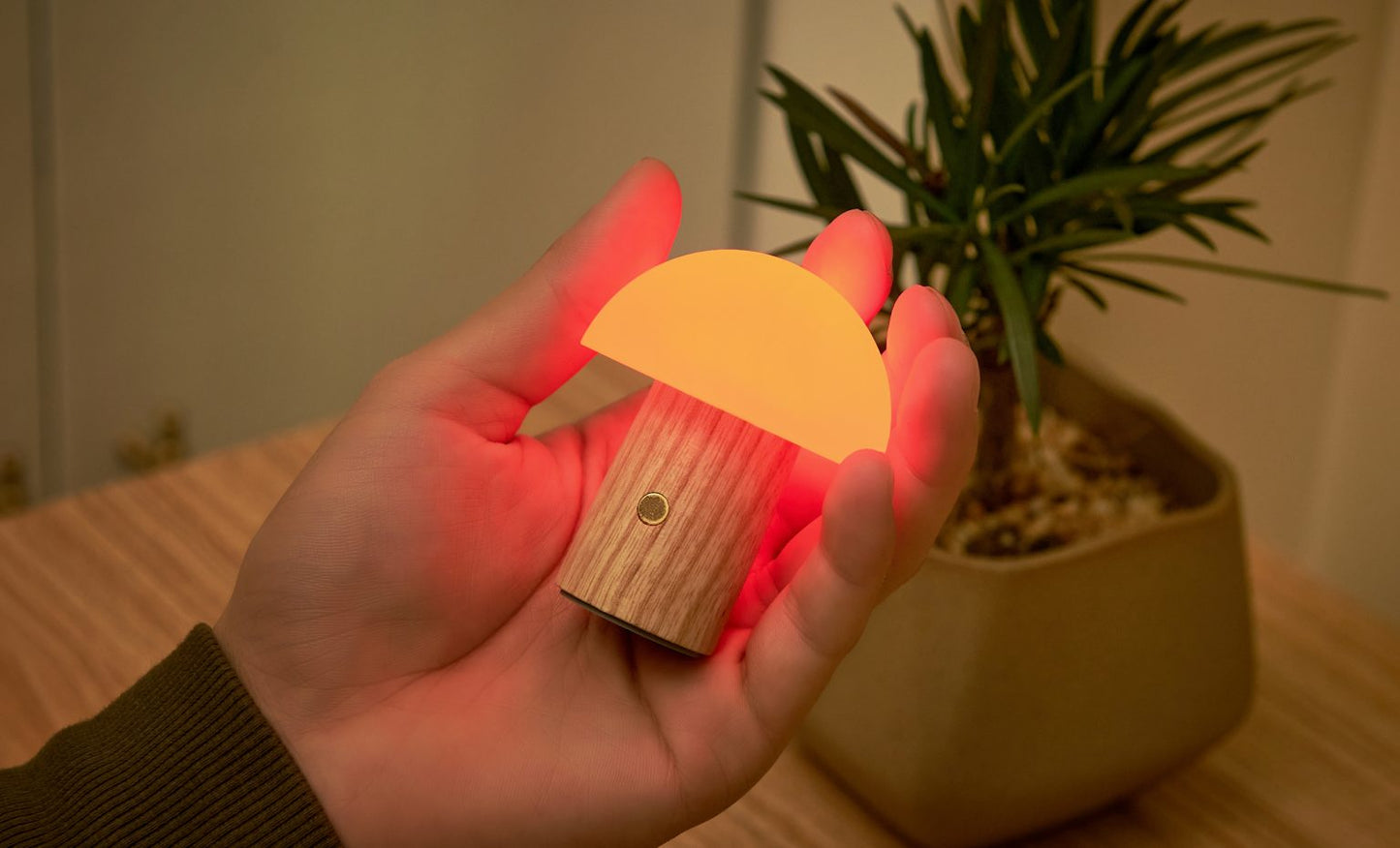 Super Mini Alice Mushroom Lamp Walnut