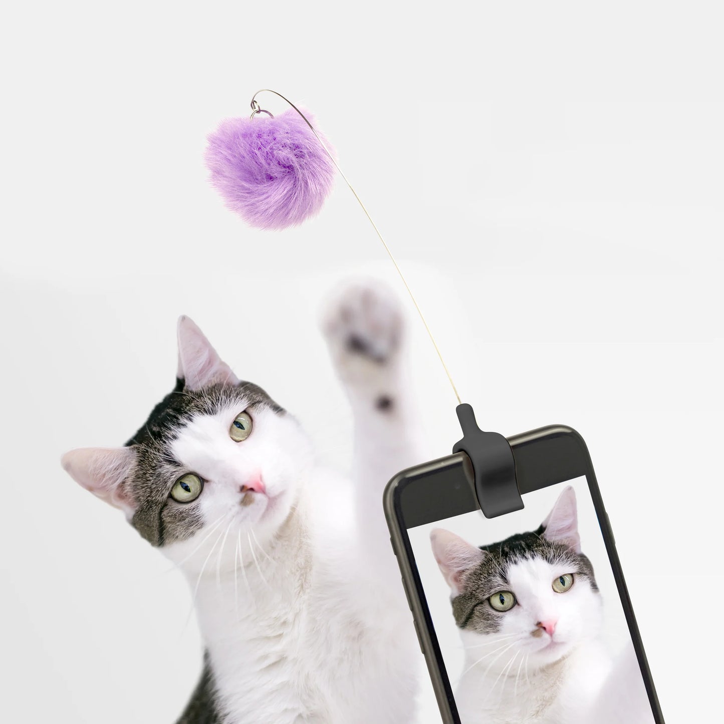 Kittie Phone Clip