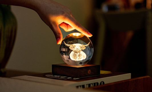 Amber Crystal Light - Highland Cow