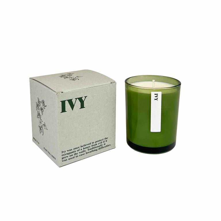 Large Botanical Candle - Ivy