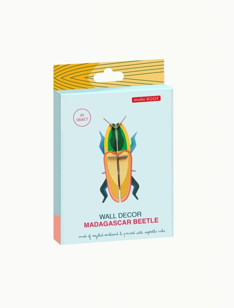 Studio Roof 3D Madagascar Beetle (Small)