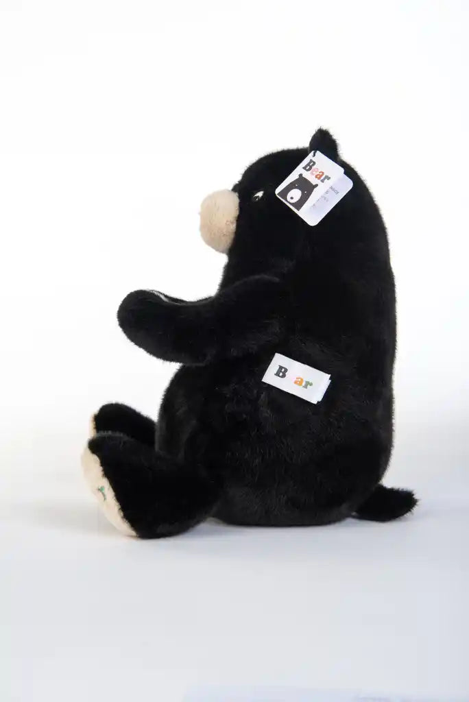 Plush Bear Small (0+)