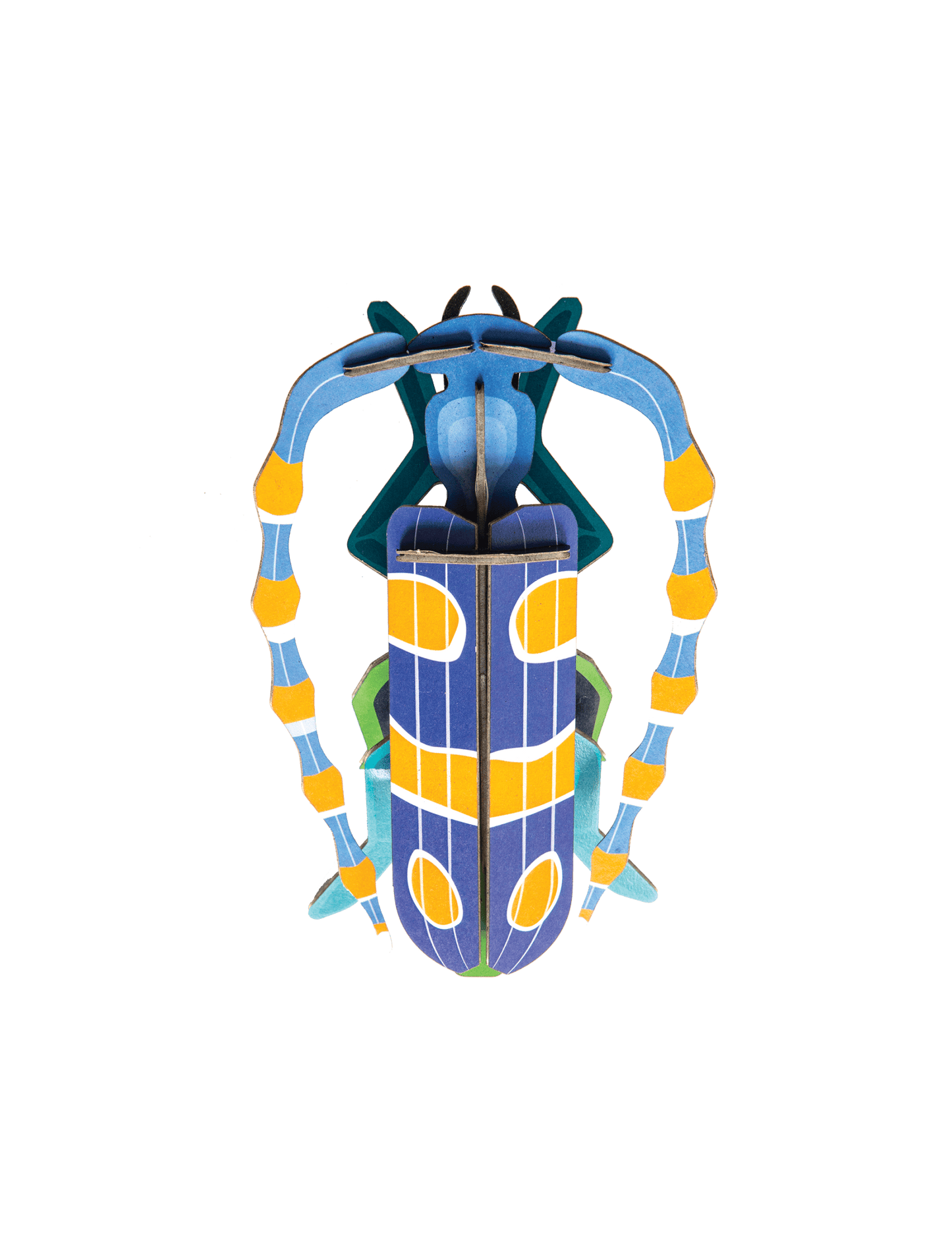 Studio Roof 3D Model Kit - Rosalia Beetle