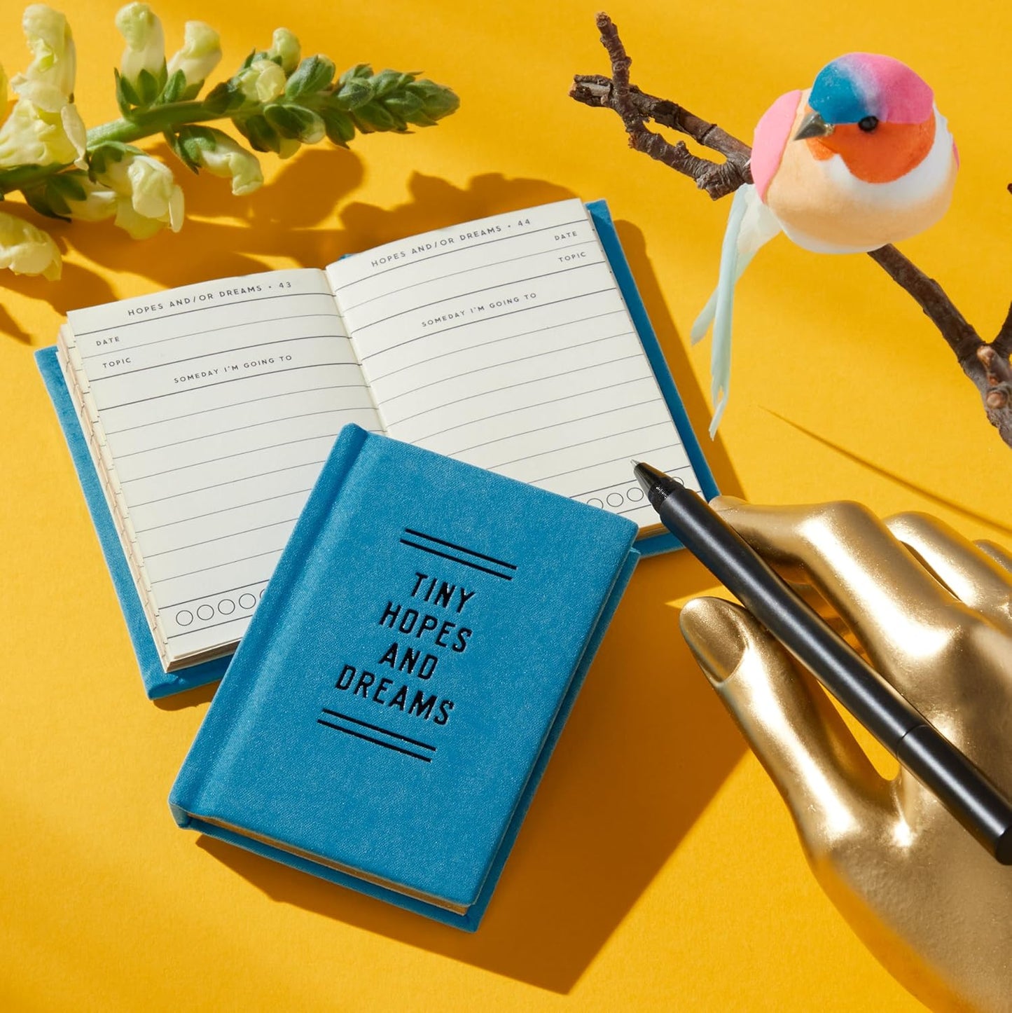 Tiny Hopes and Dreams Diary