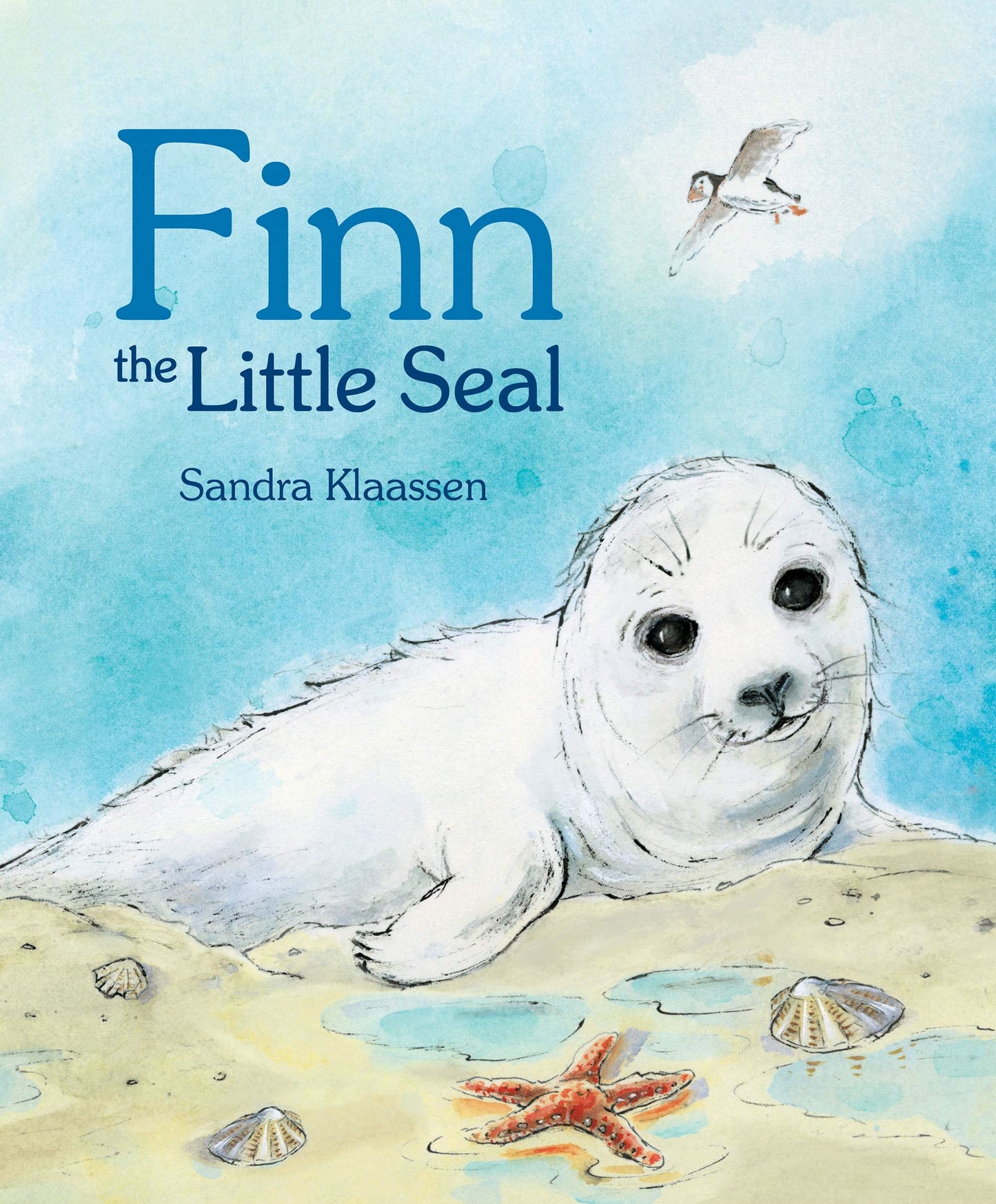 Finn The Little Seal