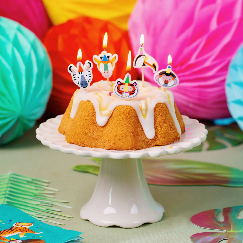 Animal Candles 5pk