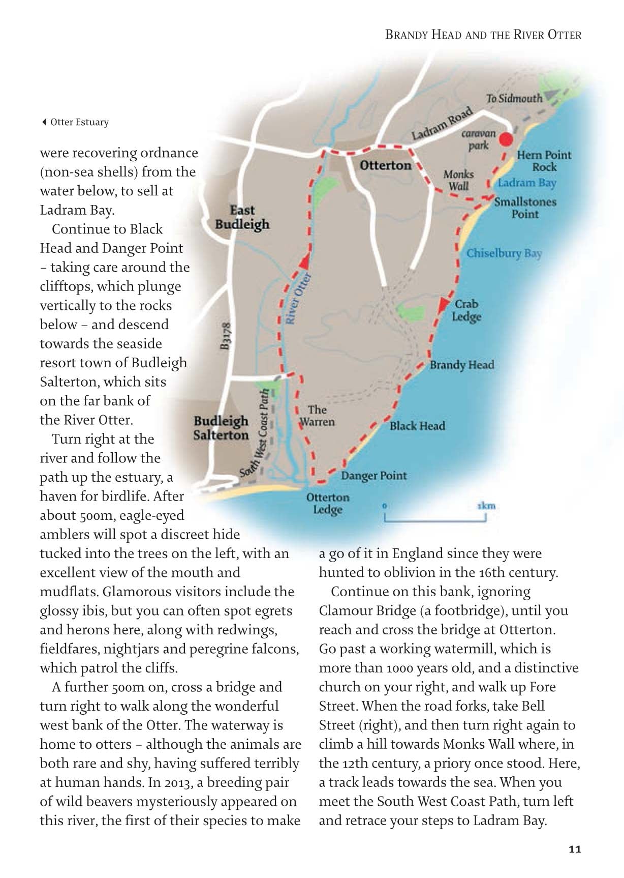 40 Walks Devon