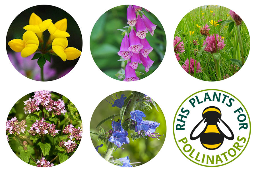 5 flowers and rhs logo