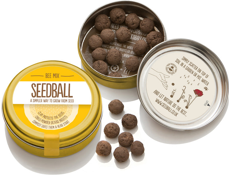 yellow seedball tin and open box