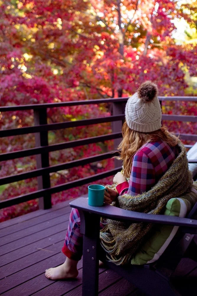 Autumn Vibes