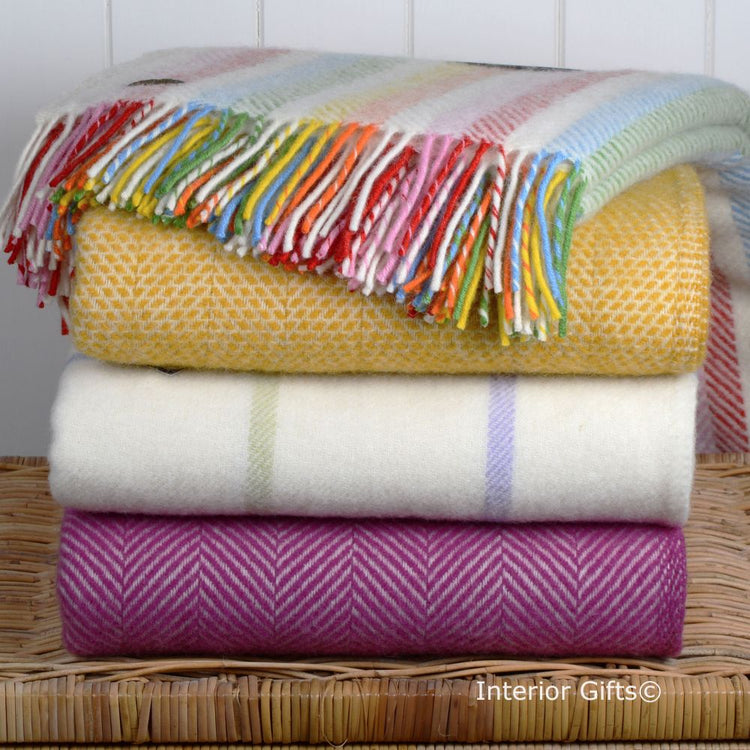 Blankets, Throws & Cushions