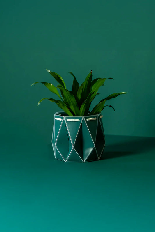 Potr Pot 15cm Dark Teal (Self-Watering & Flat Packed)
