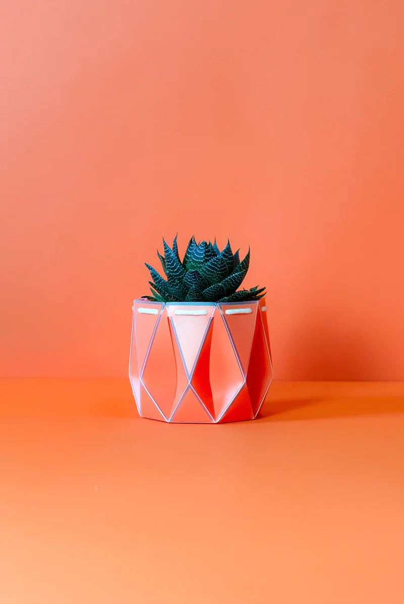 Potr Pot 15cm Coral (Self-Watering & Flat Packed)