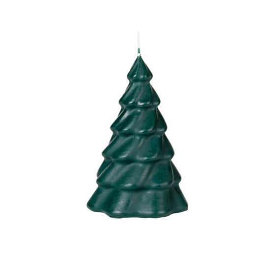 Pinus Xmas Tree Candle Grape Leaf