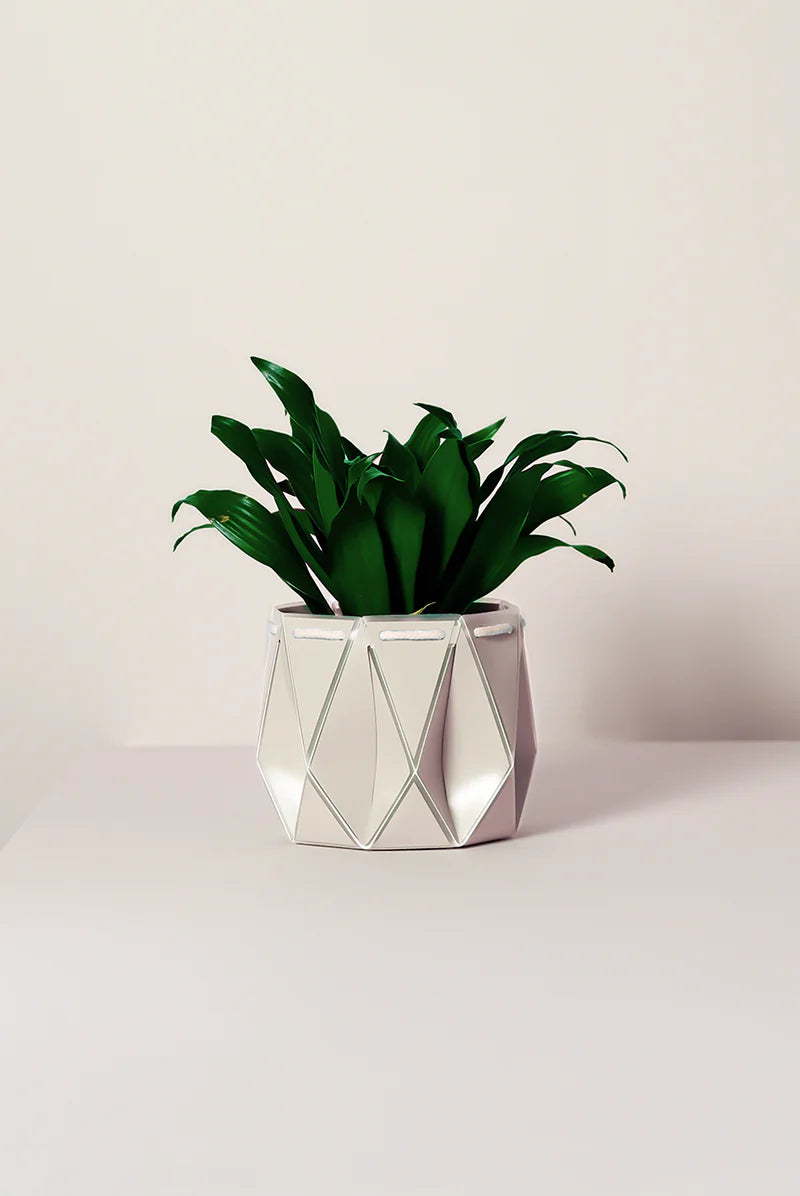 Potr Pot 18cm Ivory White (self-Watering & Flat Packed)
