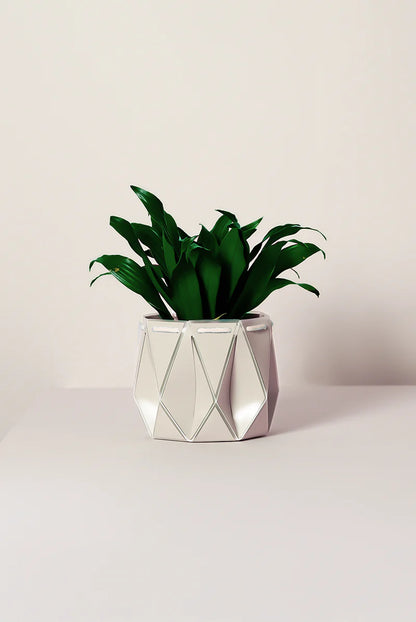 Potr Pot 18cm Ivory White (self-Watering & Flat Packed)
