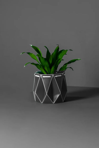 Potr Pot 15cm Slate Grey (Self-Watering & Flat Packed)