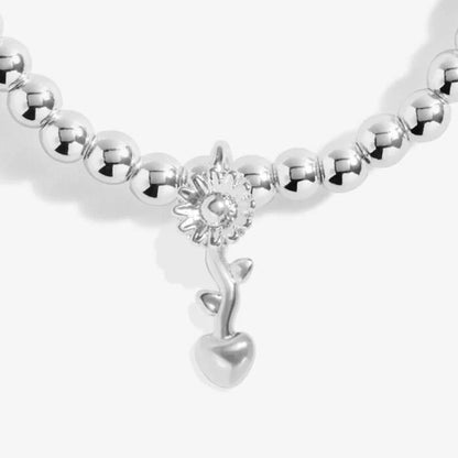 Joma Bracelet Teachers Plant Seeds