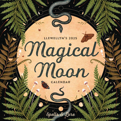 2025 Wall Calendar Magical Moon