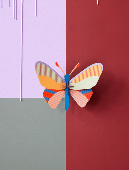 Studio Roof 3D Cleo Butterfly