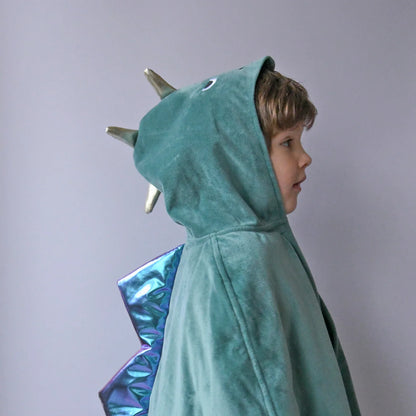 Dinosaur Dress Up Velvet Cape