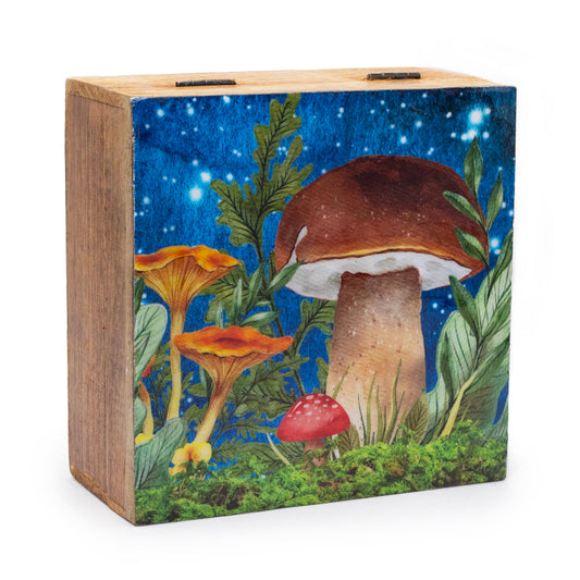 Large Wooden Box - Mushroom Teal