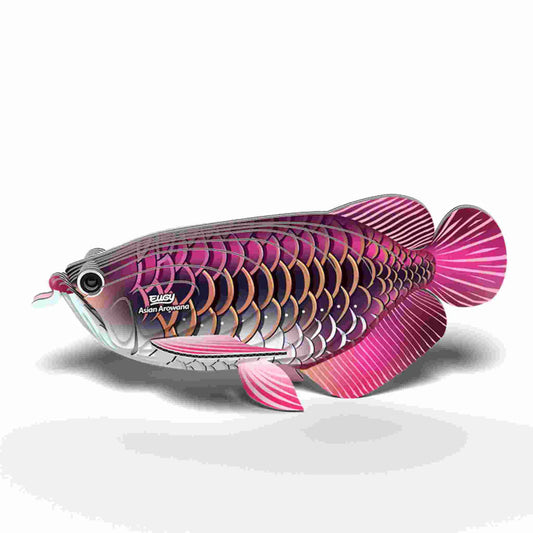 Eugy 3D Model Kit - Asian Arowana (6+)
