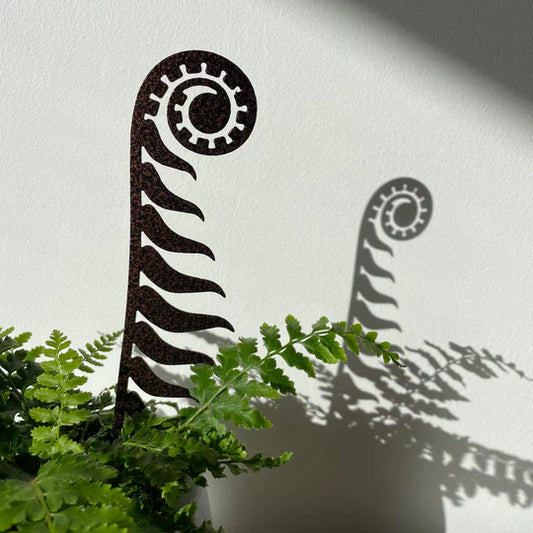 Pot Stem Fern - Small Bronze
