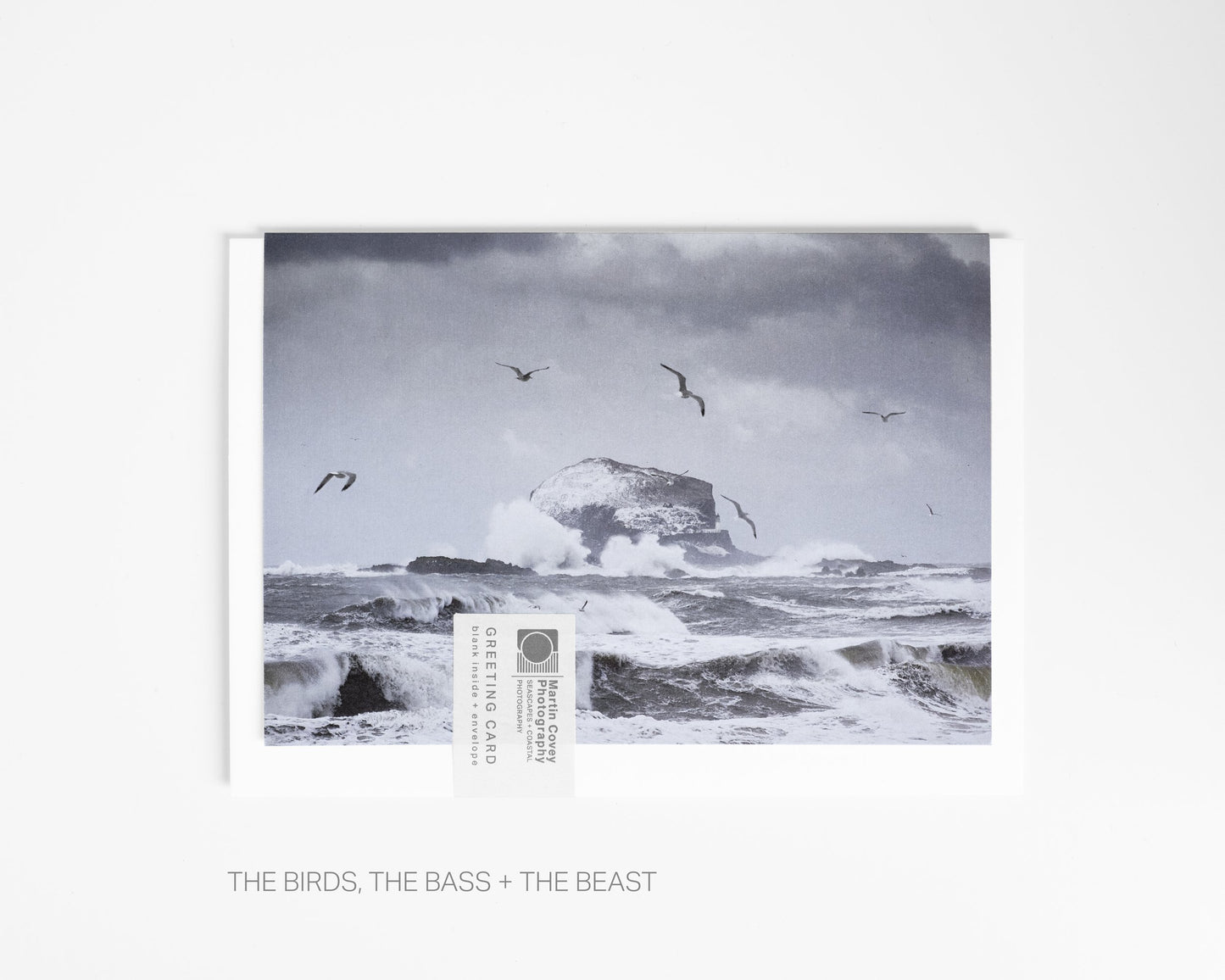 Blank Card The Birds, The Bass & The Beast