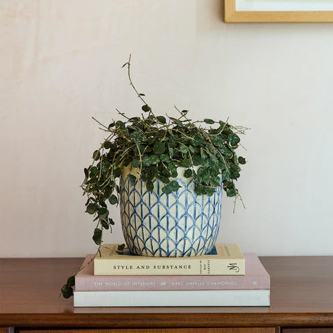 Collectors Pot 13cm Creme Geo