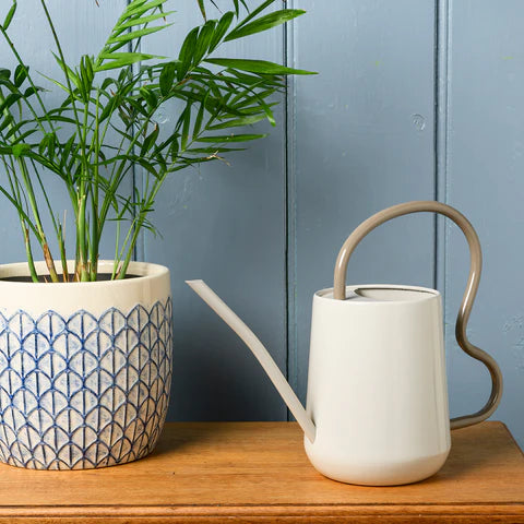 Collector Scalloped Indoor Watering Can Mushroom