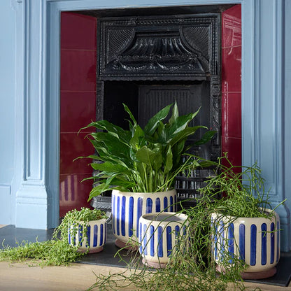 Collector Glazed Pot Blue Stripe 18cm