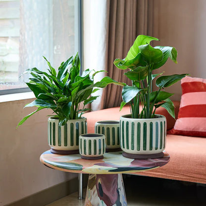 Collector Glazed Pot Green Stripe 16cm