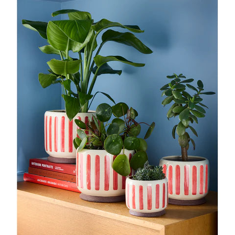 Collector Glazed Pot Red Stripe 16cm