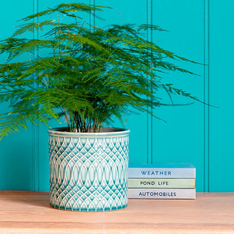 Glazed Pot Moroccan Celadon