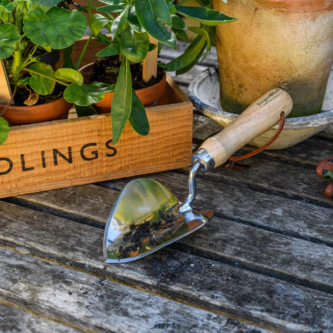 RHS Stainless Planting Trowel