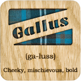 LT Wooden Coaster Gallus