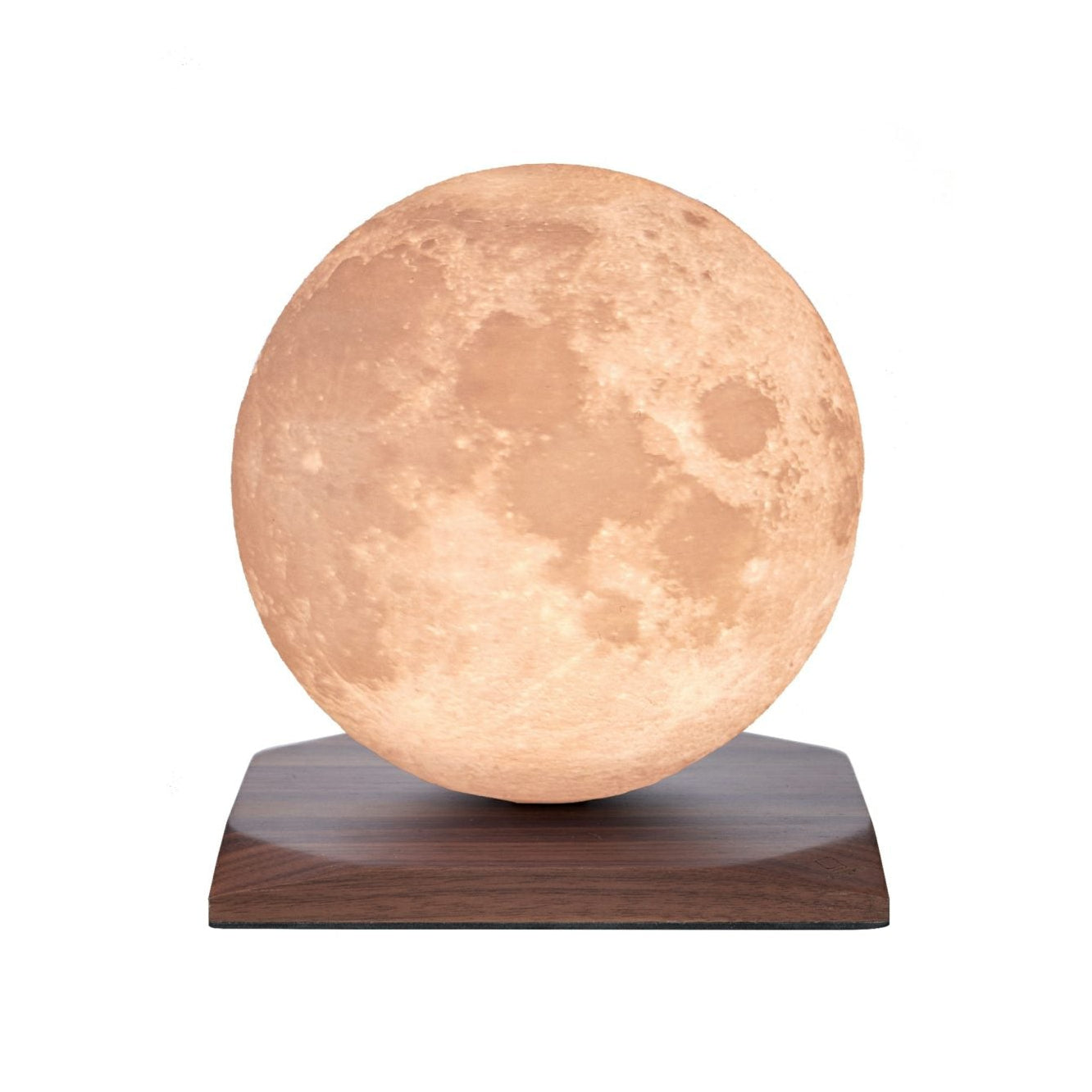 Large LunSpin Walnut